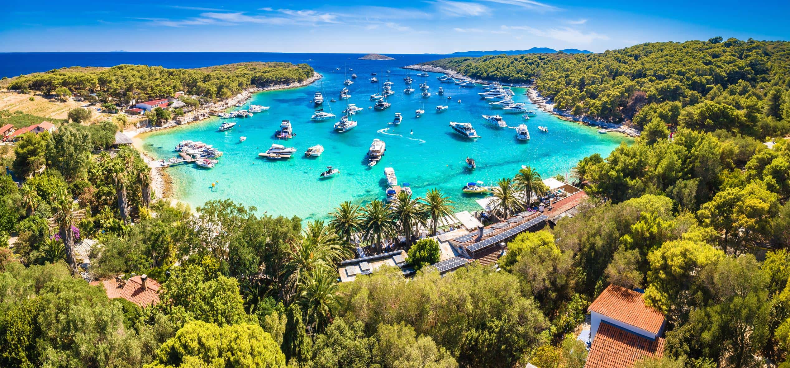 Palmizana bay in the Pakleni Islands with turquoise sea and pine trees